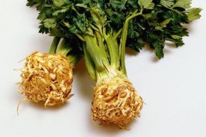 Zeller (Apium graveolens)