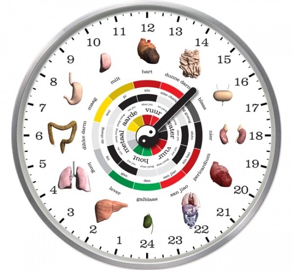 Képtalálat a következőre: „szervóra”