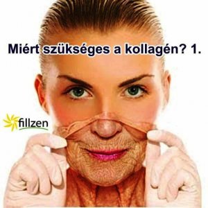 Miért szükséges a kollagén 1