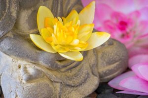 7e6b80fe7ed439c75167424d004229f9