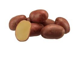 burgonya